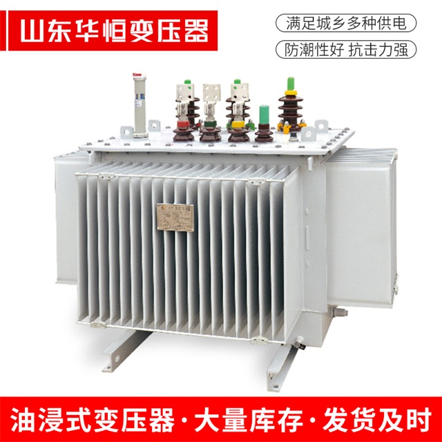 S13-10000/35颍上颍上颍上电力变压器